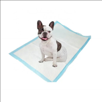 Clean And Hygienic Washable Dog Urine Pads Pee Pads For Potty Training For Pets